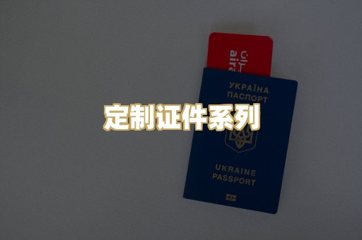 定制证件系列